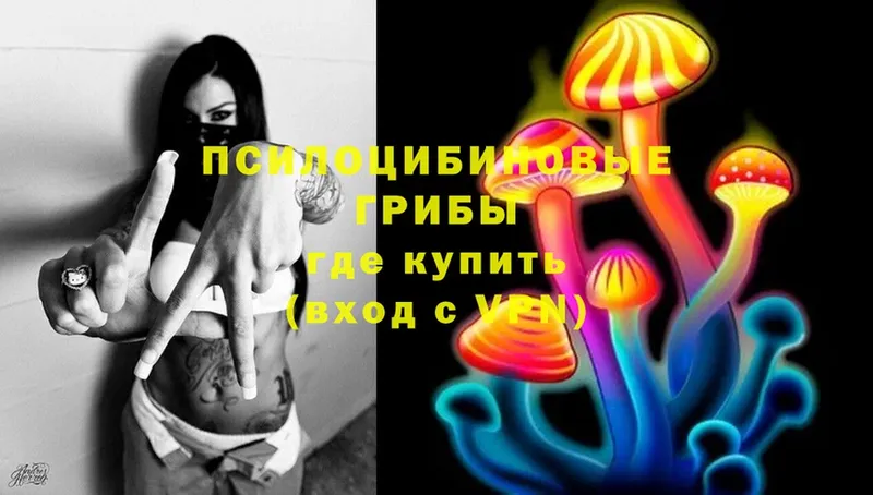 Галлюциногенные грибы MAGIC MUSHROOMS  магазин продажи   MEGA ONION  Александровск 